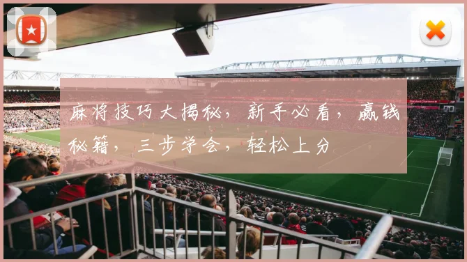 麻将技巧大揭秘，新手必看，赢钱秘籍，三步学会，轻松上分