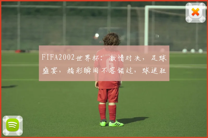 FIFA2002世界杯：激情对决，足球盛宴，精彩瞬间不容错过，球迷狂欢
