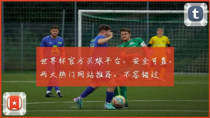 世界杯官方买球平台，安全可靠，两大热门网站推荐，不容错过
