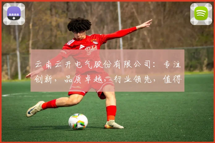 云南云开电气股份有限公司：专注创新，品质卓越，行业领先，值得信赖的电力设备制造商