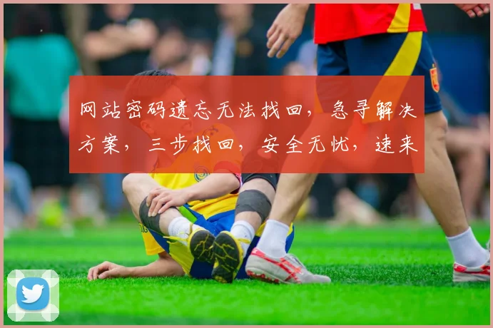 网站密码遗忘无法找回，急寻解决方案，三步找回，安全无忧，速来体验